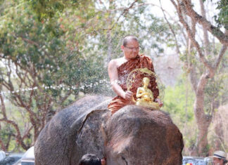 Elephants lead Songkran water pouring and blessing parade Elephants lead Songkran water pouring and blessing parade