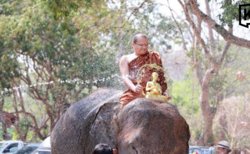 Elephants lead Songkran water pouring and blessing parade Elephants lead Songkran water pouring and blessing parade