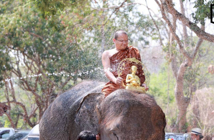 Elephants lead Songkran water pouring and blessing parade Elephants lead Songkran water pouring and blessing parade