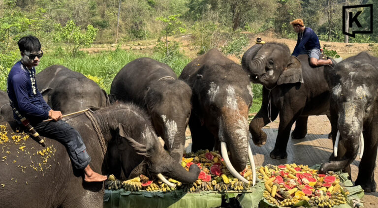 Elephants lead Songkran water pouring and blessing parade 3
