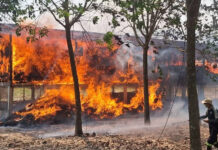 Fire destroys barn, kills goats, sheep and 150 chickens Fire destroys barn, kills goats, sheep and 150 chickens