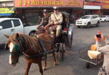 Lampang police launch horse patrols for Songkran, cut fuel costs Lampang police launch horse patrols for Songkran, cut fuel costs