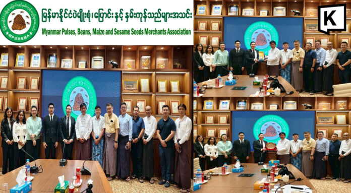 Myanmar sets up task force for burn-free corn exports