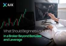 What beginners miss beyond bonus and leverage