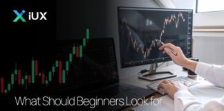 What beginners miss beyond bonus and leverage
