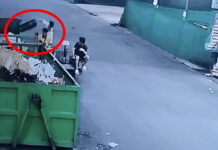 Police probe dog carcass dumped in suitcase Police probe dog carcass dumped in suitcase in Pathum Thani