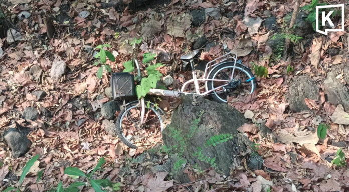 Skeleton found in forest Identified as missing man Skeleton found in forest Identified as missing man