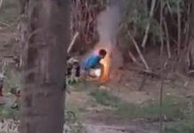 Teens spark fire near bamboo, raising wildfire fears Teens spark fire near bamboo, raising wildfire fears
