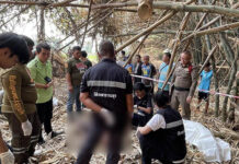 Thai water worker dies after fall, suspected heatstroke Thai water worker dies after fall, suspected heatstroke