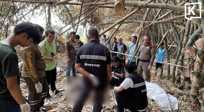 Thai water worker dies after fall, suspected heatstroke