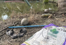 Water shortage leads to fatal fall for 75-year-old woman Water shortage leads to fatal fall for 75-year-old woman