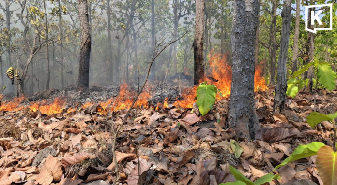 Wildfire near Mae Hong Son park quickly contained