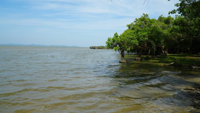 news122322 zcdX2I3x5y1775038740