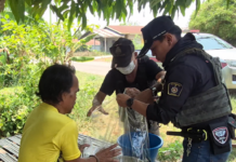 Animal lovers outraged as man caught cooking dog in Udon Thani