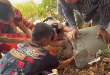 81-year-old woman trapped in drainage pipe after trying to rescue dog