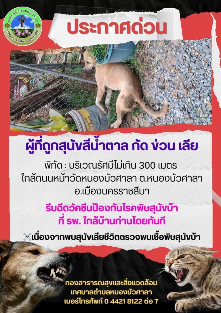 news128092 o1dqK9q8LA1777020528