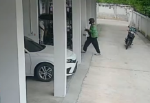 Delivery rider sparks concern after asking to see cat in customer’s room