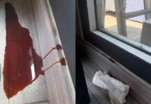 Mystery brown ooze on wall turns out to be something pricey