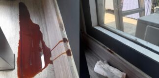 Mystery brown ooze on wall turns out to be something pricey