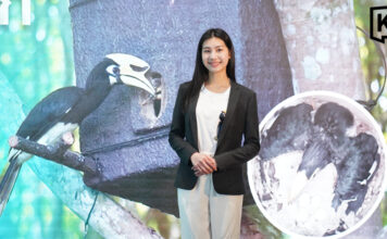 17-year-old Thai wins two global awards for hornbill conservation project 17-year-old Thai wins two global awards for hornbill conservation project