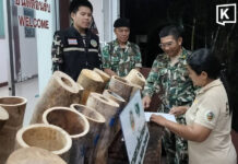 Thai authorities seize 130 kg of ivory near Lao border