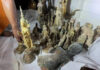 Cracked stupa reveals hidden trove of ancient Buddha statues