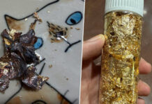 Thai Page Warns Cheap “Edible Gold Leaf” May Be Industrial Foil