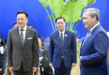 Anutin, Hun Manet agree to rebuild trust after Cebu trilateral talks