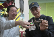 A Taiwanese town embraces a slow pace of life through a snail race