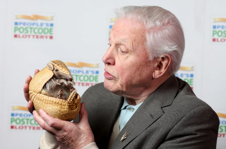 AP26127364492102