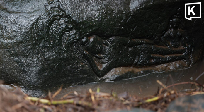 Ancient underwater Narai carving opened to visitors in Ubon Ratchathani