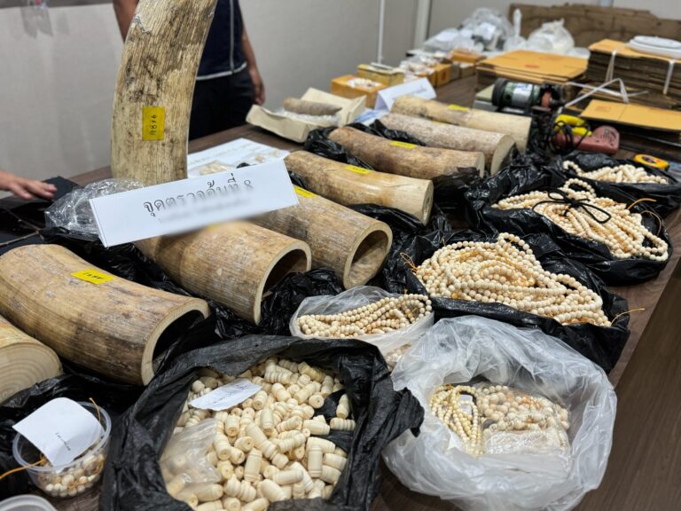 CITES 19