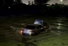 Drunk driver crashes into fish pond after hit-and-run Drunk driver crashes into fish pond after hit-and-run