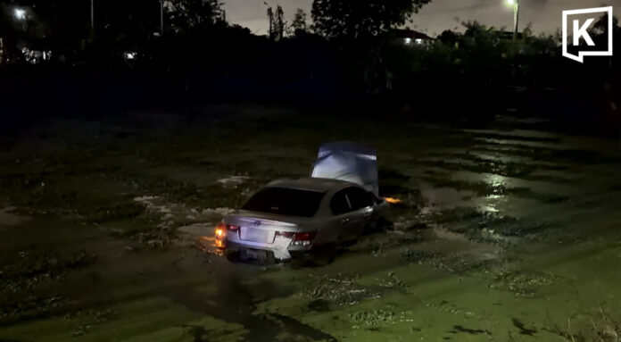 Drunk driver crashes into fish pond after hit-and-run