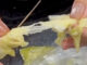 Khon Kaen probes tissue found inside fish dumpling Khon Kaen probes tissue found inside fish dumpling