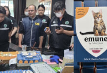 Thai police raid fake cat medicine factory near Bangkok Thai police raid fake cat medicine factory near Bangkok