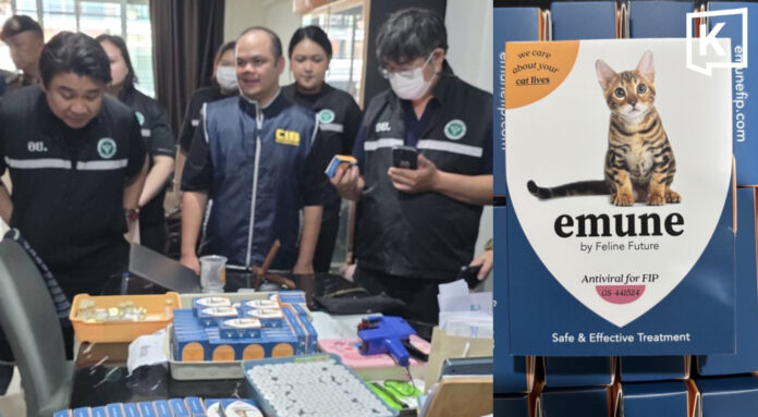 Thai police raid fake cat medicine factory near Bangkok Thai police raid fake cat medicine factory near Bangkok