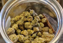 Thailand tightens controls on medical cannabis sales Thailand tightens controls on medical cannabis sales