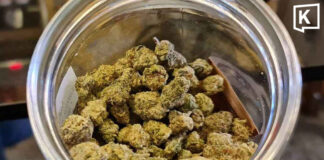 Thailand tightens controls on medical cannabis sales Thailand tightens controls on medical cannabis sales