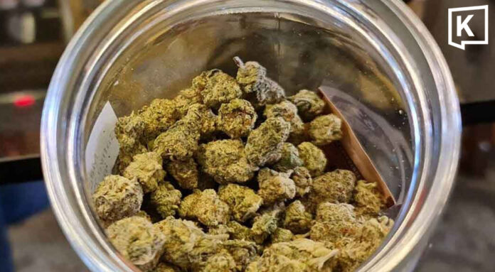 Thailand tightens controls on medical cannabis sales Thailand tightens controls on medical cannabis sales