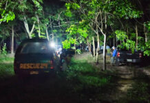 Wild elephants kill park volunteer in Prachinburi Wild elephants kill park volunteer in Prachinburi