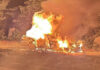 Car Bursts into Flames After Striking Wild Elephant; 1 Dead Car Bursts into Flames After Striking Wild Elephant; 1 Dead