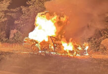 Car Bursts into Flames After Striking Wild Elephant; 1 Dead Car Bursts into Flames After Striking Wild Elephant; 1 Dead