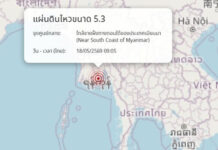 5.3 Magnitude Myanmar Earthquake Rattles Bangkok High-Rises