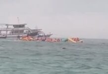 Tourists recount ‘life-or-death’ Koh Larn diving trip amid storm safety concerns