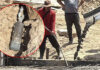 Mortar shell drops from concrete truck, sending workers fleeing