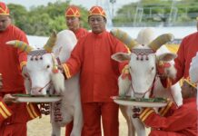 What is Thailand’s Royal Ploughing Ceremony?