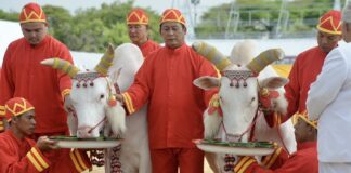 What is Thailand’s Royal Ploughing Ceremony?