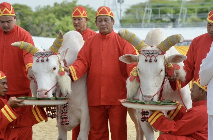 What is Thailand’s Royal Ploughing Ceremony?