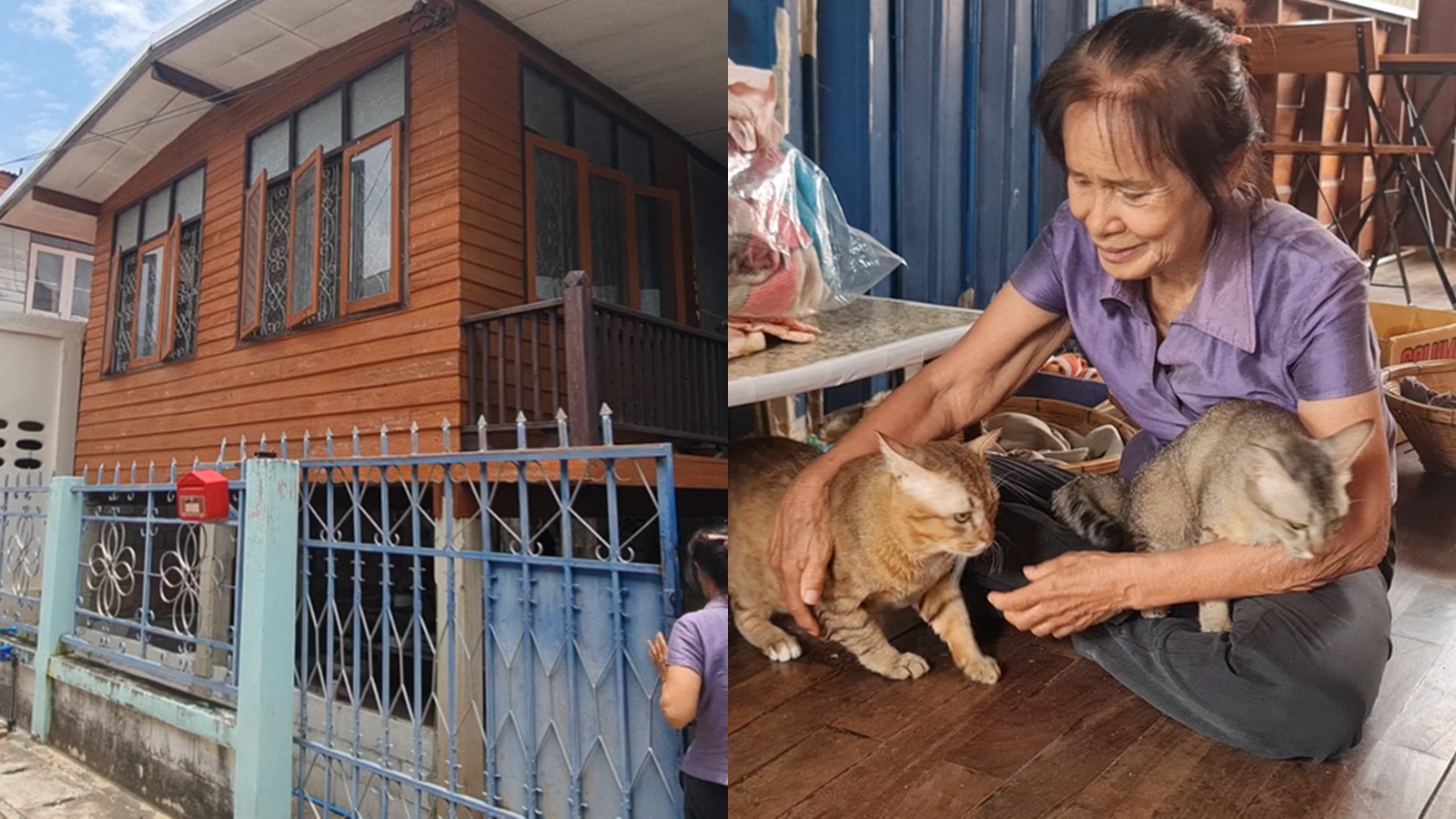 Thai Grandmother Spends Her Life Savings on a House — For Her Stray Cats